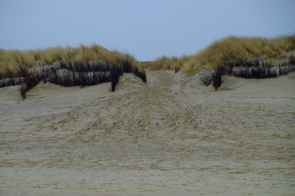 Langeoog